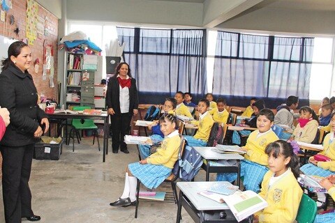 Panal llama a la CNTE a aceptar la reforma