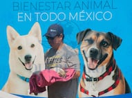 Anuncian feria de bienestar animal en Buenavista