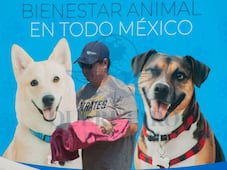 Anuncian feria de bienestar animal en Buenavista