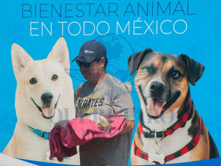 Anuncian feria de bienestar animal en Buenavista