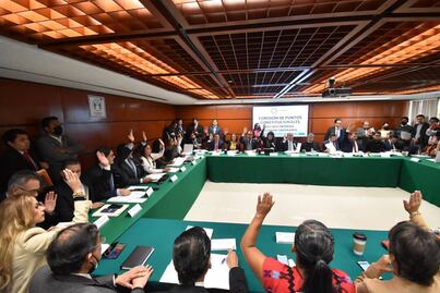 Aprueban diputados en comisión que Fuerzas Armadas estén en las calles hasta 2028