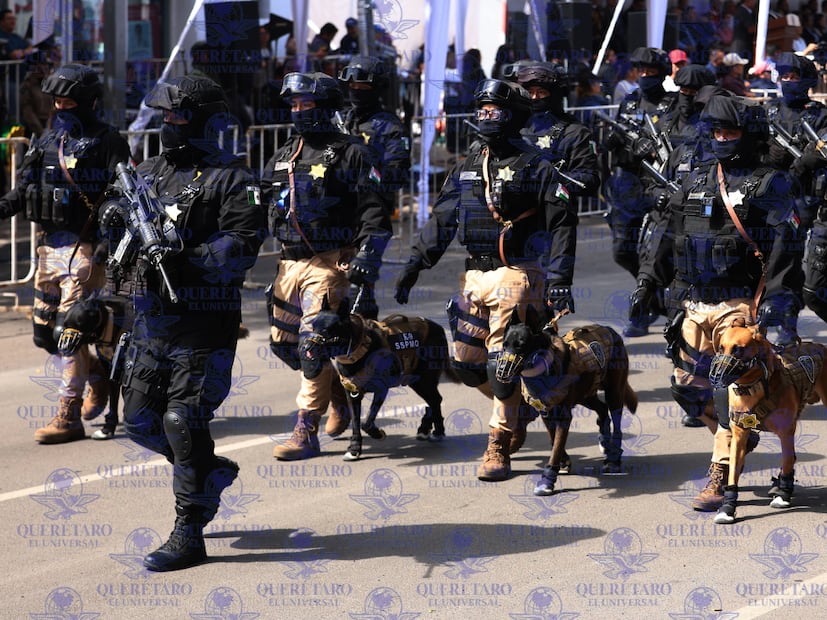 FOTO. CÉSAR GÓMEZ