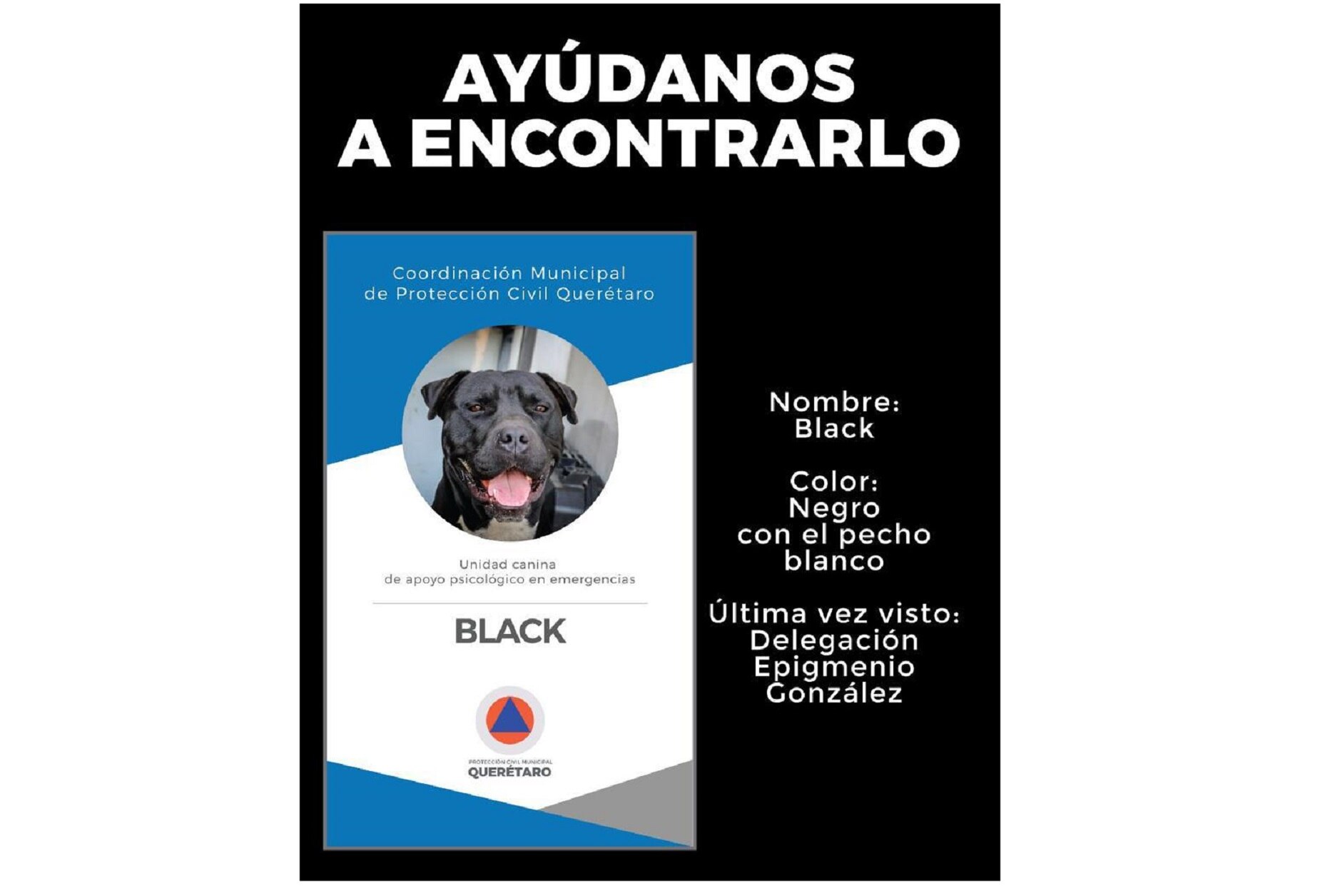 Protección Civil de Querétaro busca a Black
