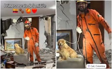Topos Azteca realizan primer rescate en Colombia; sacan a perrito de los escombros tras el sismo de 7.4
