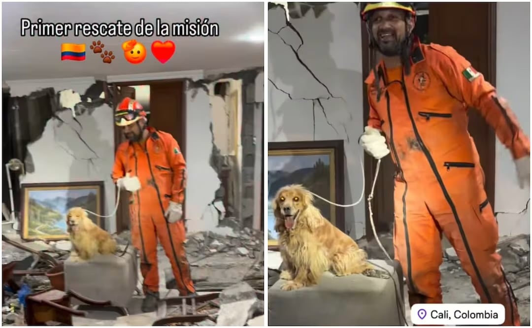 Cristian Kperbank, integrante de Topos Azteca realizó el primer rescate animal de la misión en Colombia. Foto: Captura de pantalla Instagram