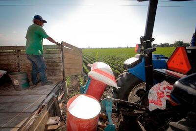 Productores deberán darse de alta en SHCP