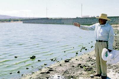 Ganaderos claman apoyo por la sequía