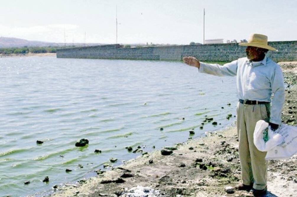 Ganaderos claman apoyo por la sequía