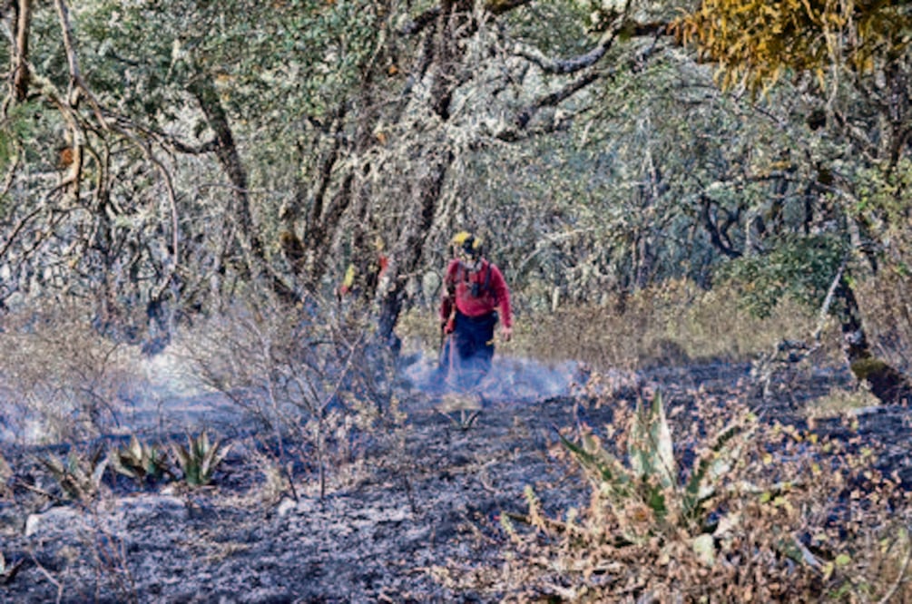 Incendio deja 70 hectáreas consumidas
