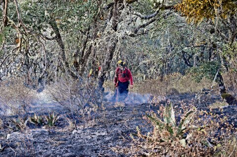 Incendio deja 70 hectáreas consumidas