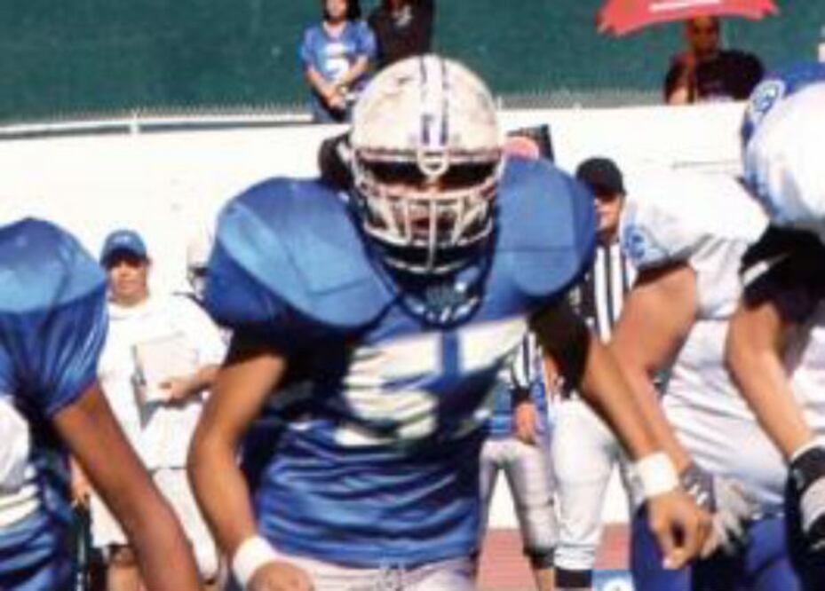 Gatos Salvajes afilan colmillos