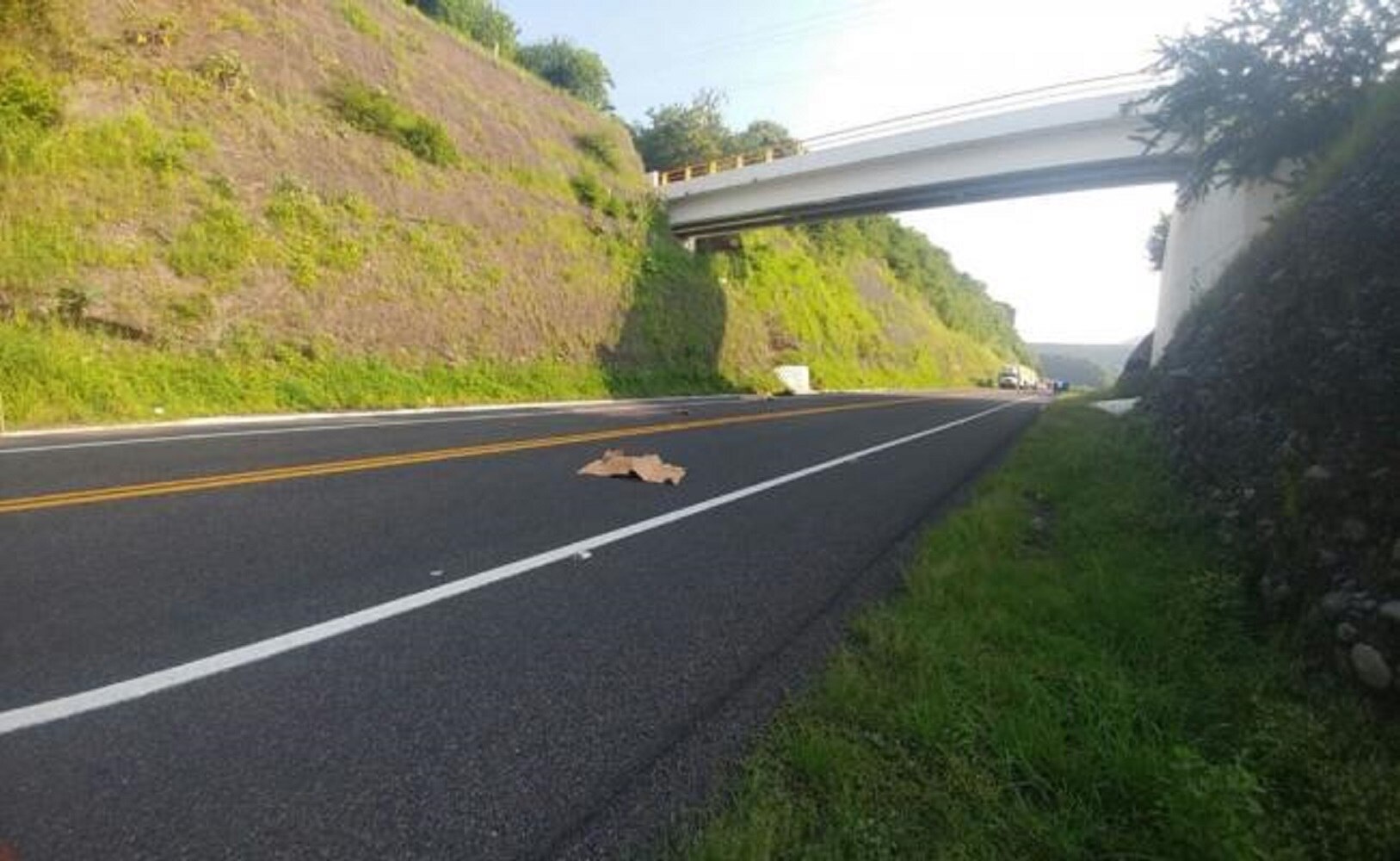 Hallan los cuerpos desmembrados de dos personas en Michoacán