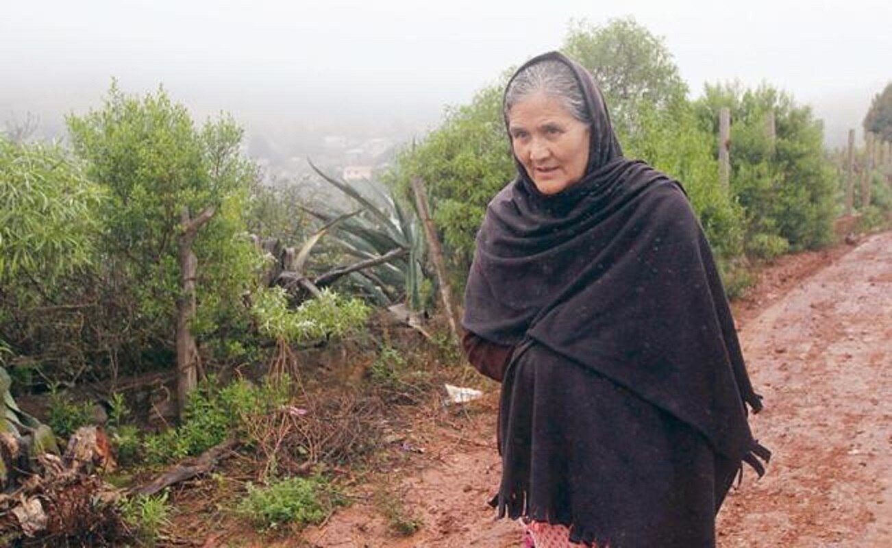 Prevén noche muy fría para el centro, norte y oriente del país