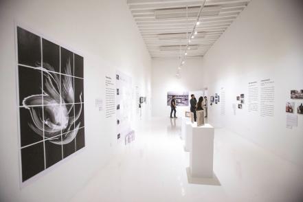 Artistas hablan de la migración