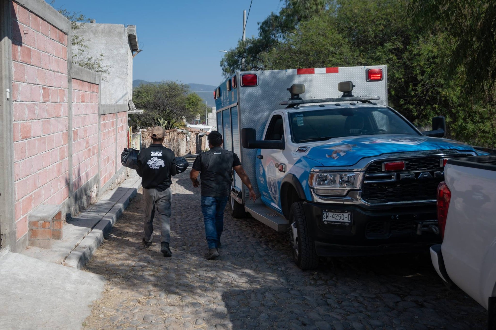 Foto. Facebook IMPA El Marqués