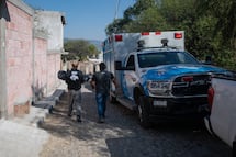 En El Marqués, detienen a una persona por colgar a su perrito de un árbol