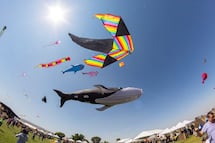 Lánzate al Festival del Papalote en Tequisquiapan