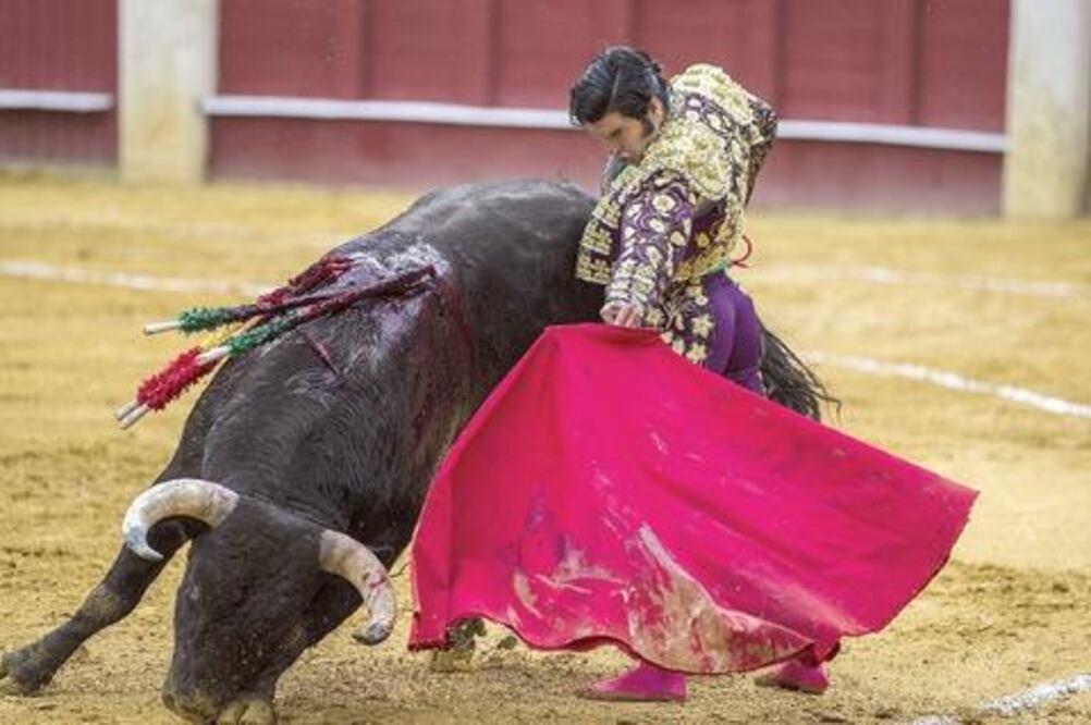 Nuevo gran cartel en la Santa María