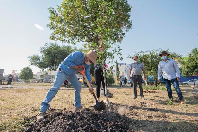 Arranca programa de reforestación en El Marqués
