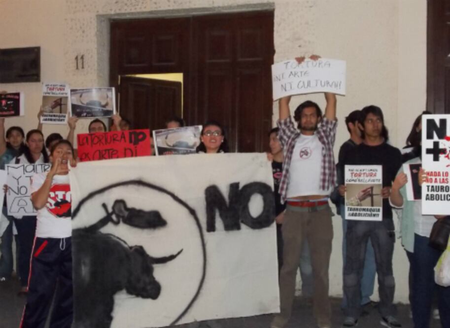 Se manifiestan antitaurinos en Museo de Arte