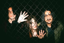 Banda, música y amistad de camino al Vive Latino