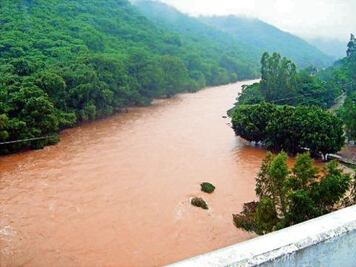 Estrategias conjuntas de turismo