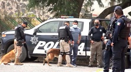 Policías, binomios caninos, vecinos y familiares buscan a Victoria; desapareció en Querétaro 
