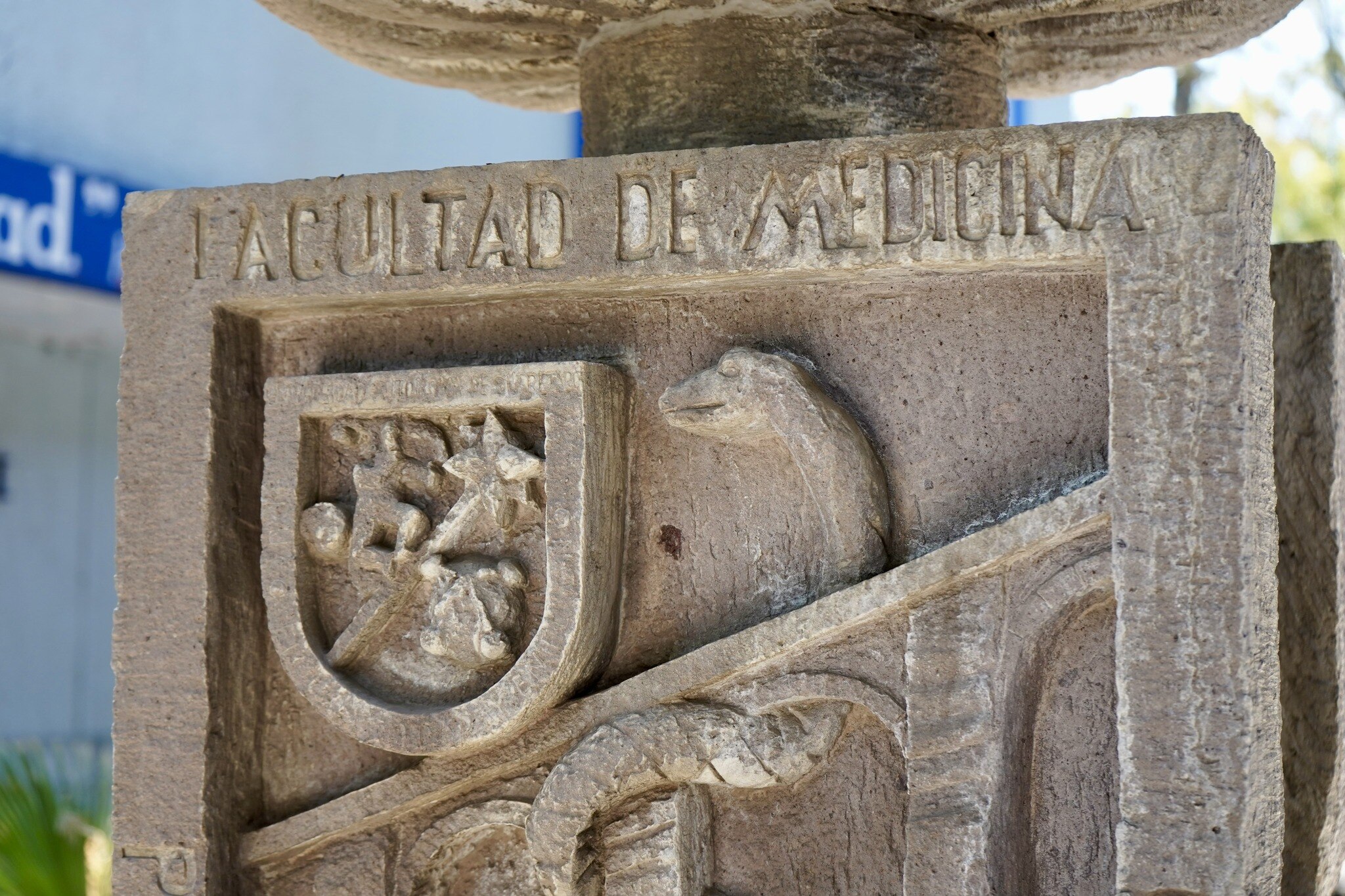 La Facultad de Medicina de la UAQ modifica su proceso de ingreso