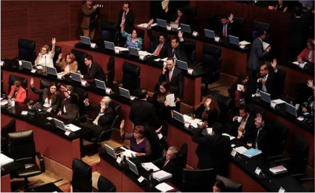 Foto: Berenice Fregoso / EL UNIVERSAL