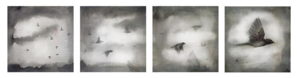 #Cuento | Pájaros negros IV