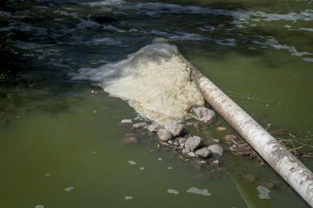 En el olvido la presa El Centenario, manto acuífero de bacterias 