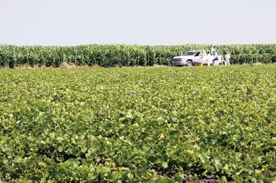 1,600 mdp invertidos en el campo, aseguran