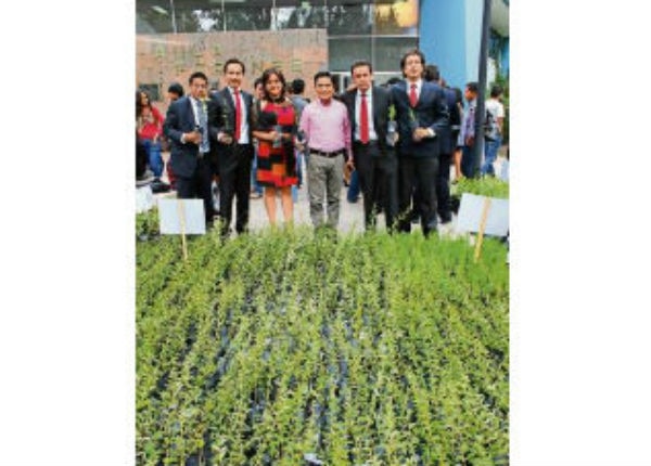 Plantarán 50 mil árboles en instituciones de UAQ