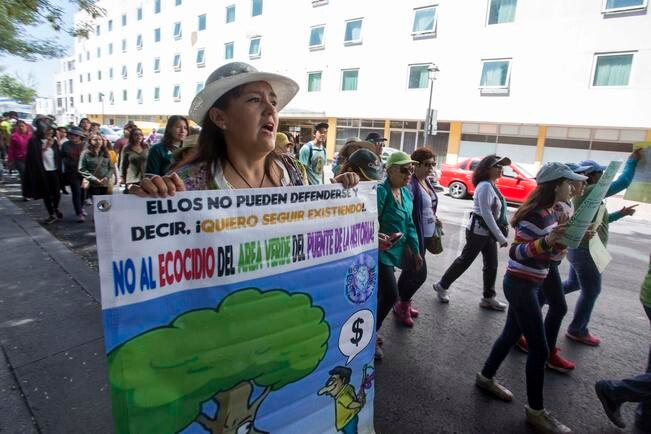 Ambientalistas acusan exclusión del gobierno