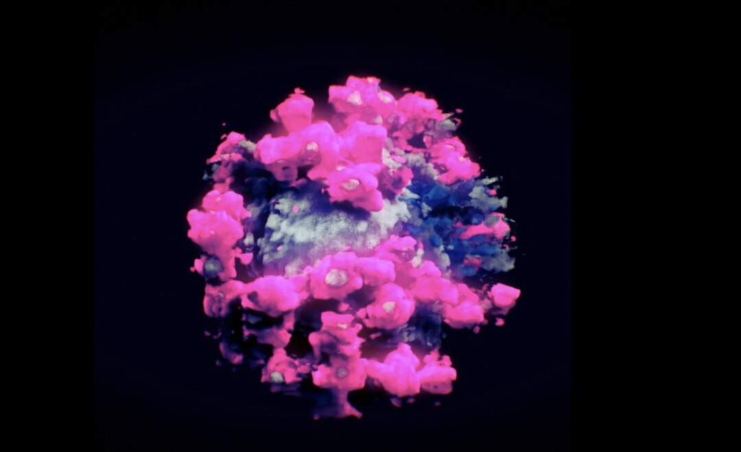 ¿Cómo se ve realmente el Covid-19? Logran la primera imagen 3D del virus SARS-CoV-2