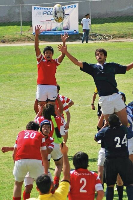 Festival de Rugby Infantil y Juvenil 2015, listo