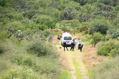 Edil de El Marqués ve reducción en crímenes