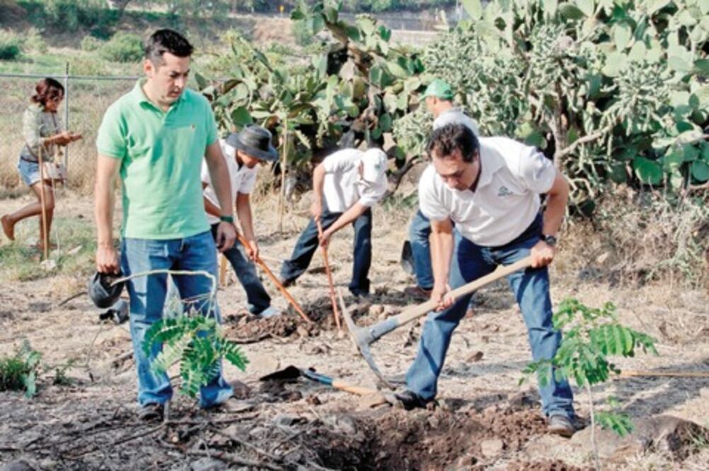 Reforestan predio La Ermita
