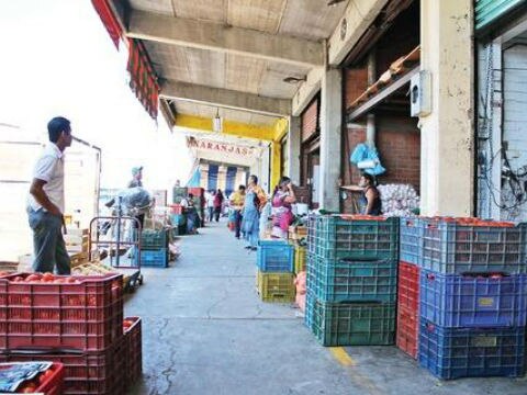 Quiere Vega construir Central de Abastos