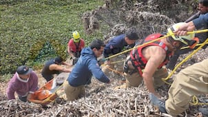 Rescatan a venado atrapado en la Presa del Batán, en Corregidora