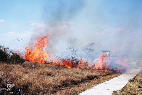 Reportan 347 incendios en el estado