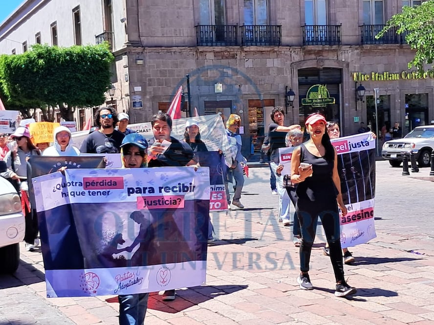 FOTO. VERÓNICA RUIZ