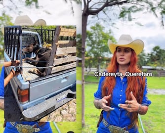Elena Larrea también defendió a caballos y yeguas de Querétaro