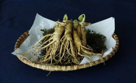 Conoce las propiedades del ginseng y sus beneficios