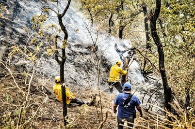 Incendios aumentan 20% por temporada de calor