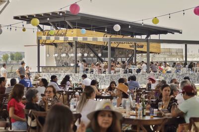 Bubbles Fest 2025. Viñedos Sala Vivé