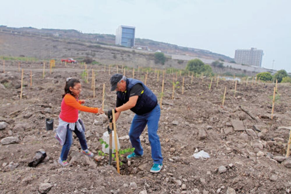 Proyectan construir “pulmones” en la capital