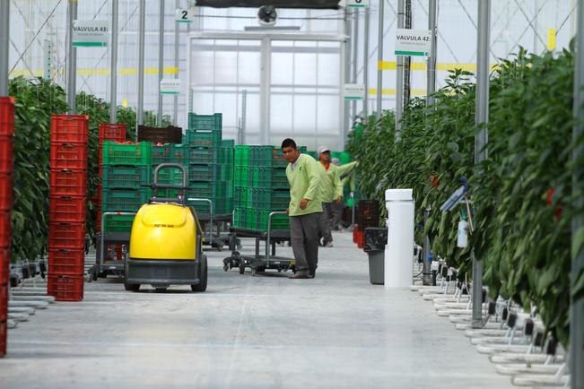 El Instituto Mexicano del Seguro Social informó que en lo que va de este año se han creado 29 mil 399 nuevos empleos en Querétaro, equivalente a 21.5% más que los primeros cinco meses del año anterior. (ARCHIVO. EL UNIVERSAL)