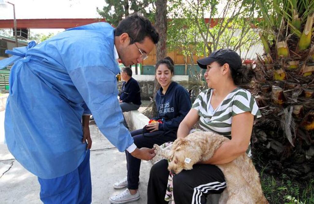 Autoridades de San Juan del Río invitaron a los ciudadanos a reportar los casos de maltrato contra los animales que detecten en sus comunidades (ARCHIVO. EL UNIVERSAL)