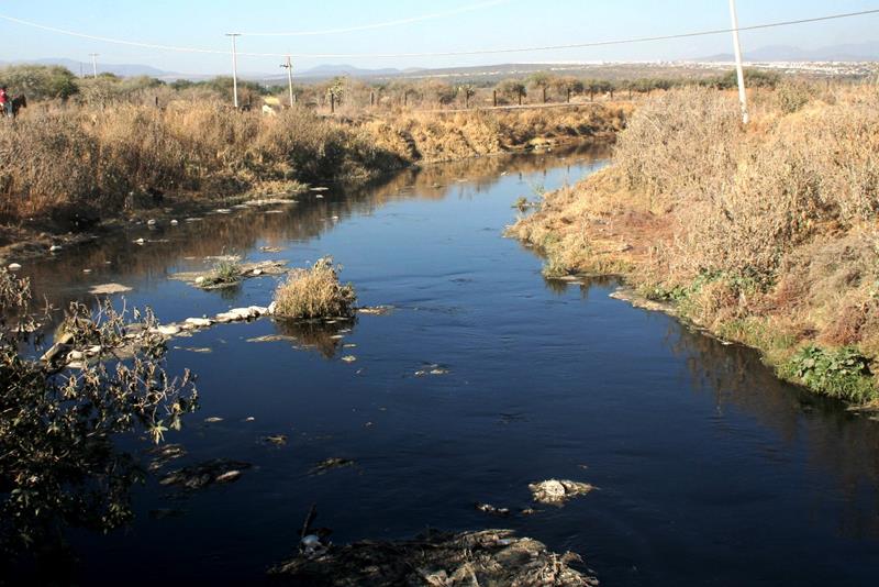Monitorean pureza de ríos
